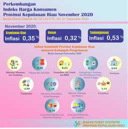 Consumer Price Index Of Kepulauan Riau Province In November 2020