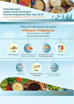 Consumer Price Index Of Kepulauan Riau Province In June 2019