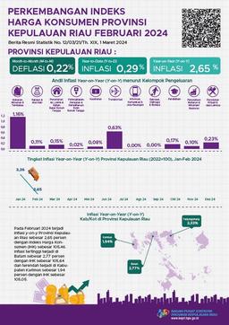 Developments Consumer Price Index Kepulauan Riau Province February 2024