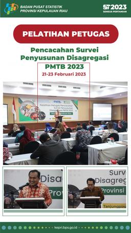 Pelatihan Petugas Pencacahan Survei Penyusunan Disagregasi PMTB 2023