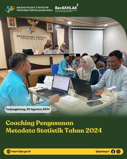 Coaching for the Preparation of Metadata Statistics Year 2024